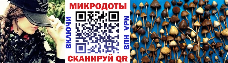мега   даркнет сайт  Александров  Псилоцибиновые грибы прущие грибы 